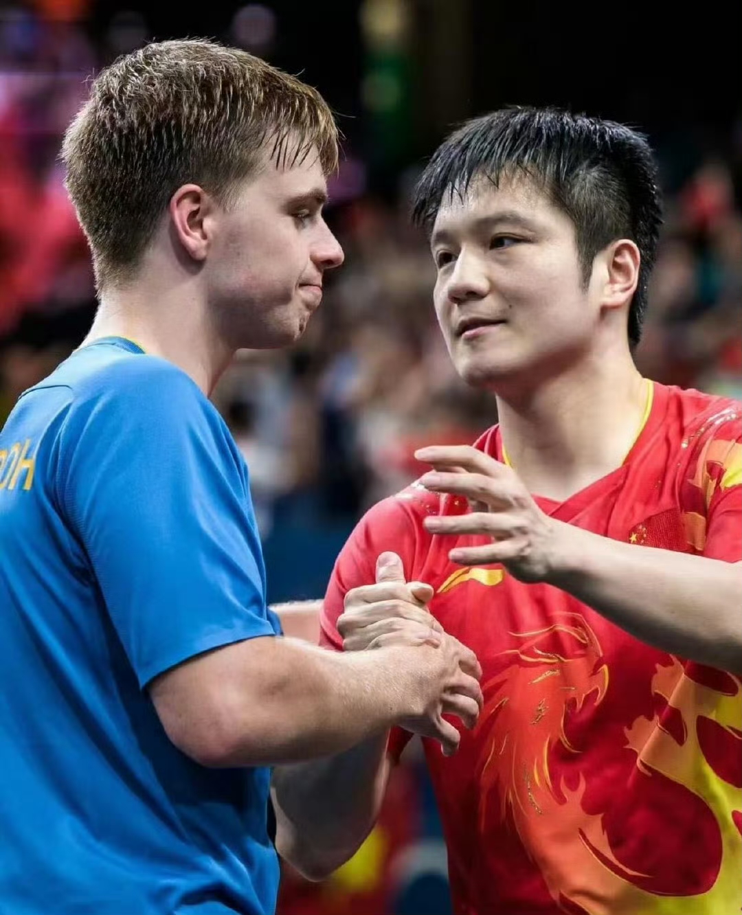 英格兰队鏖战波兰队，樊振东统治全场