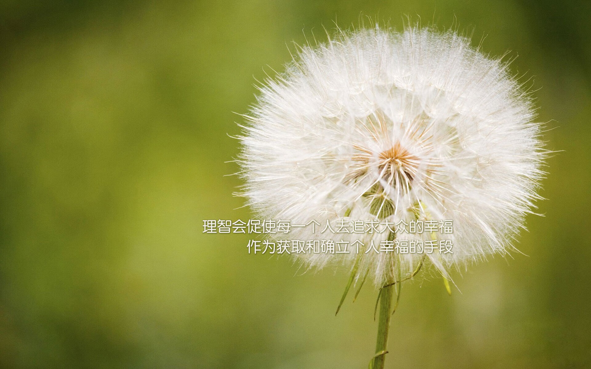 阴影中站出的巨人，当范弗利特的救赎之火，灼穿尼克斯的铁血围城