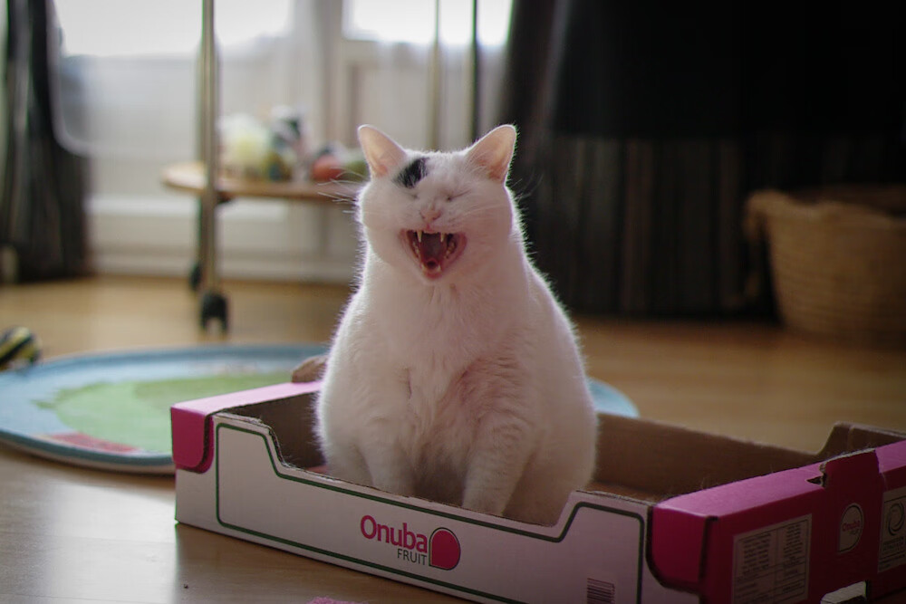 最后48秒,与深圳队的永恒对话