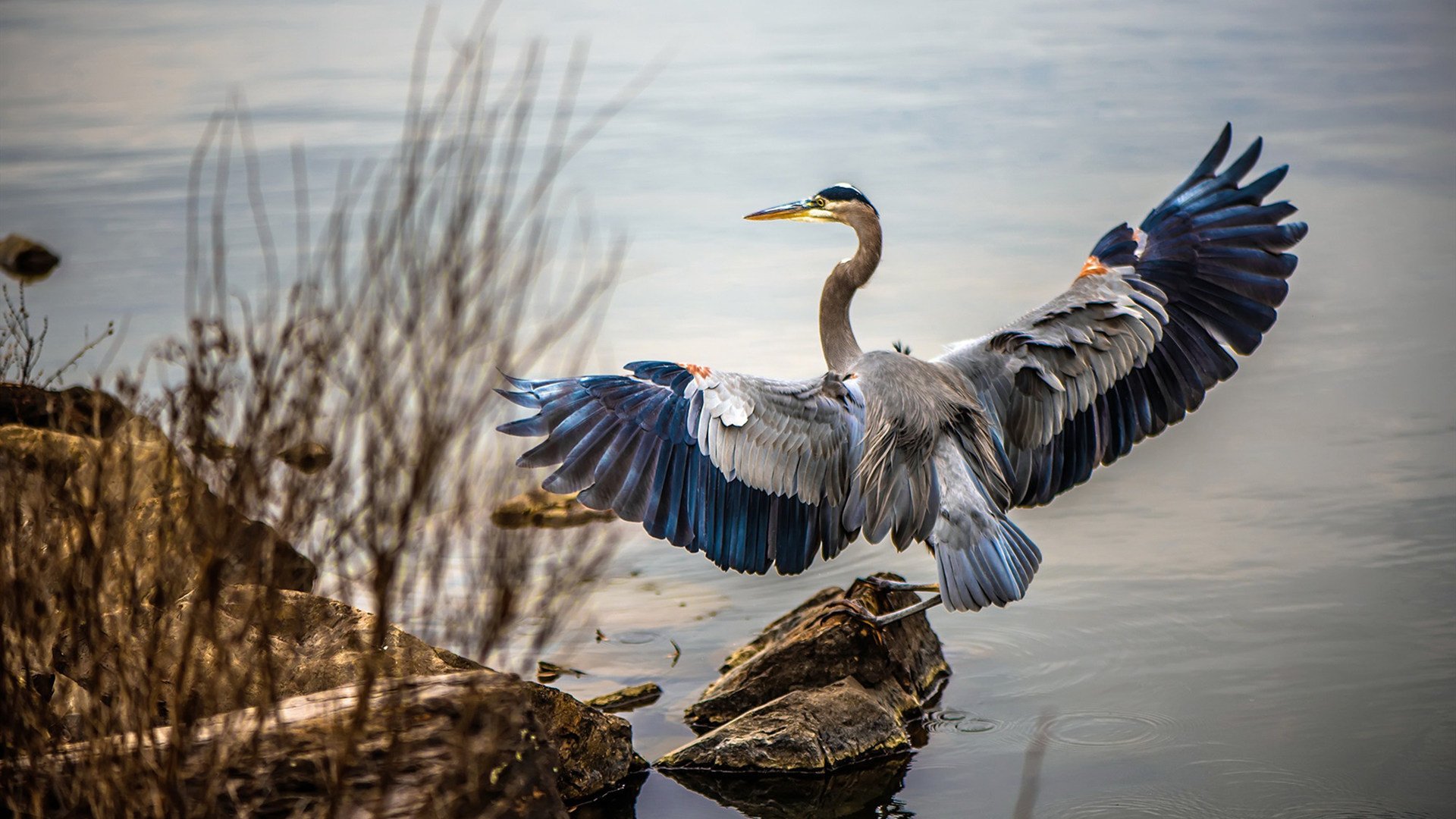 雷火电竞下载-硬仗之王的加冕礼，奥利维耶如何在那不勒斯与沙特的文明对话中定义伟大