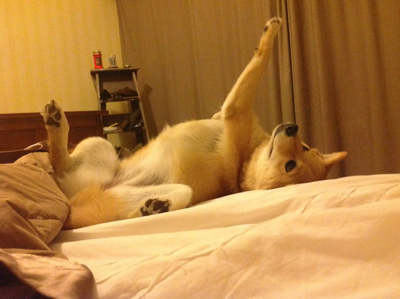 雷火电竞-西决之夜，盗火者越界而来