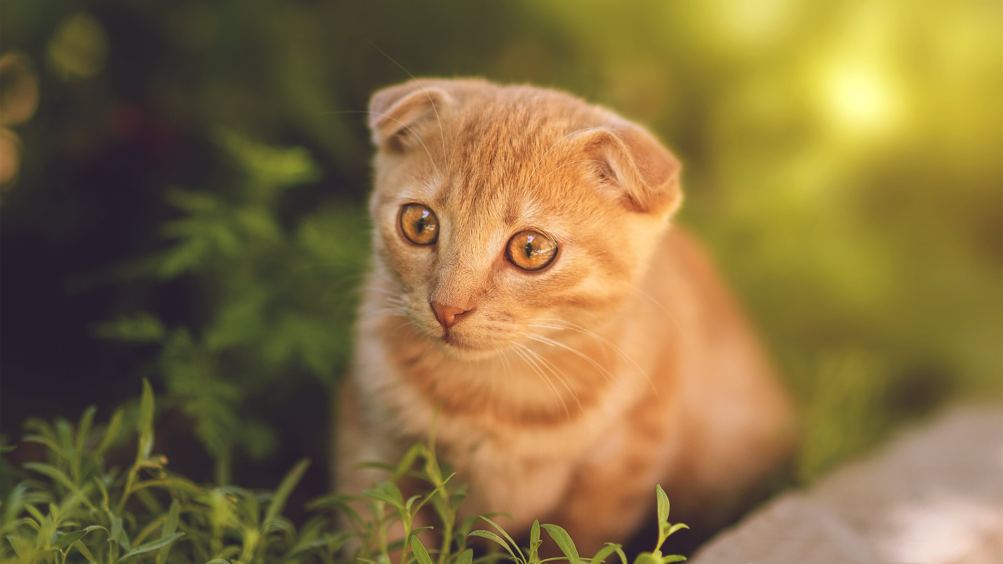 深度76人对阵雄鹿，班凯罗，那把撕裂防守阵地的唯一钥匙