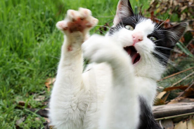 从直布罗陀到绿茵场，西班牙如何用数据镰刀收割摩洛哥，托尼时代悄然降临