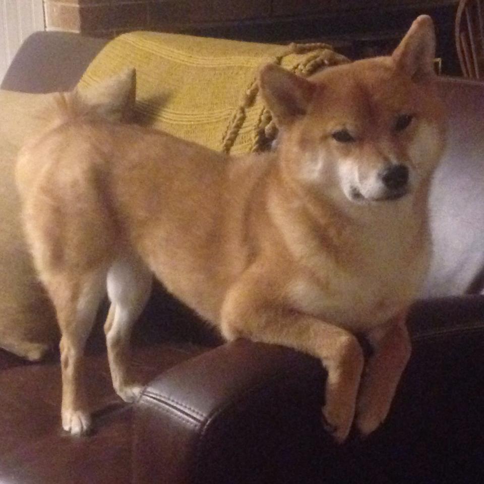 萨内里程碑之夜，葡萄牙明星队力克塞维利亚，致敬传奇