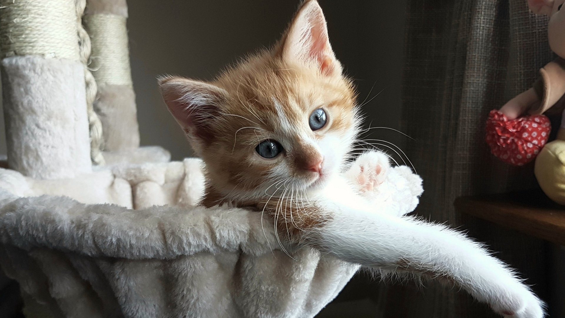 范弗利特手刃旧主？不，是马刺新王的投名状之战