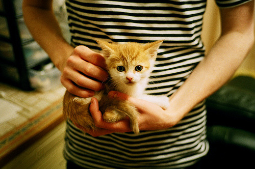 德国战术催眠伦敦，若日尼奥如何让阿森纳陷入自设的迷宫