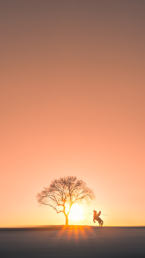 篮框下的平行宇宙，当公牛踏碎深圳，欧文在另一半世界完成镜像