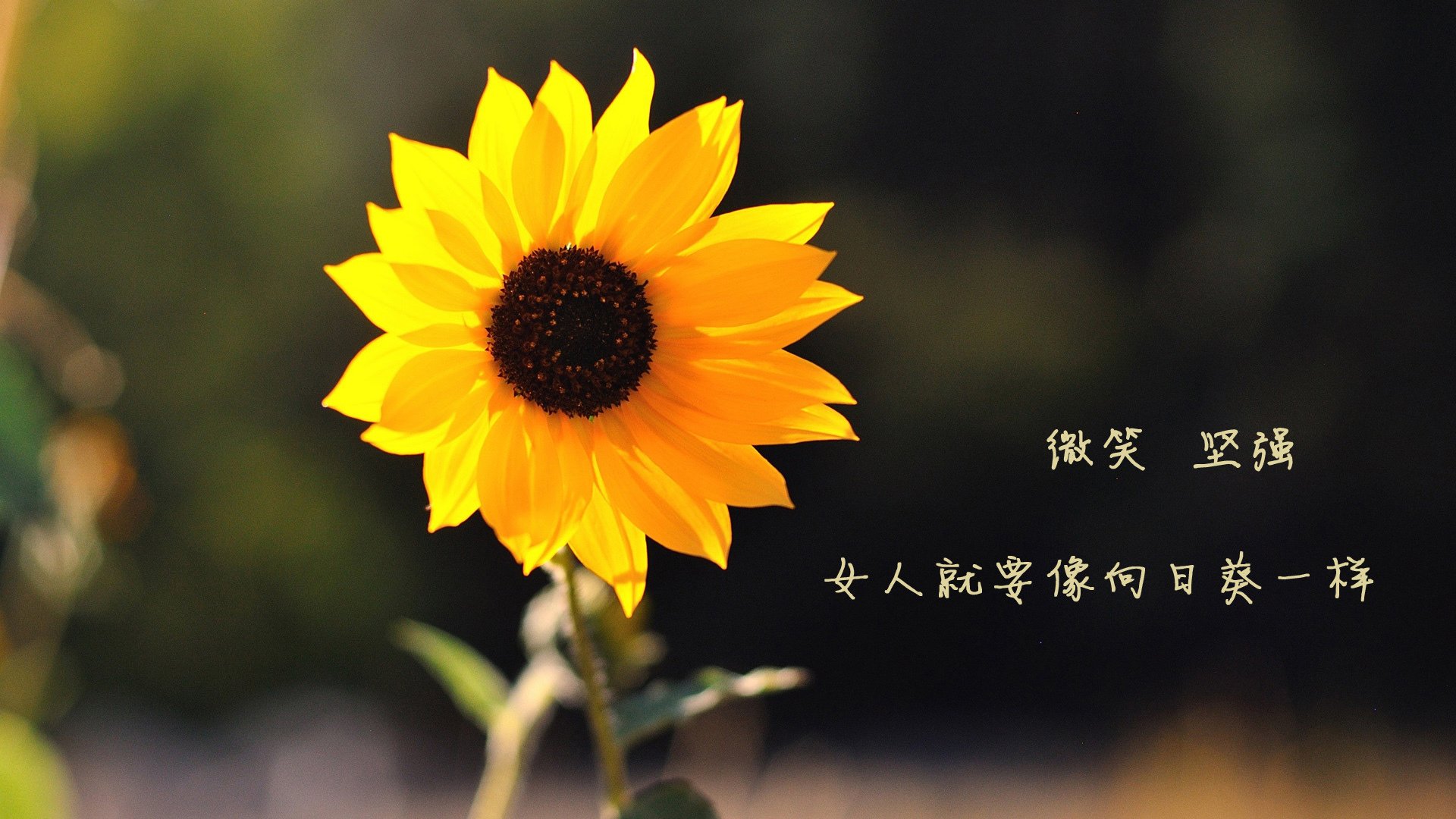 雷火电竞下载-那一夜，他让喧嚣的欧洲噤声