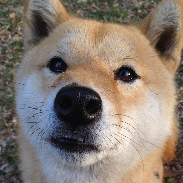 雷火电竞网址-速度与重量，当浙江队速胜黄蜂，班凯罗在NBA季后赛中重塑未来