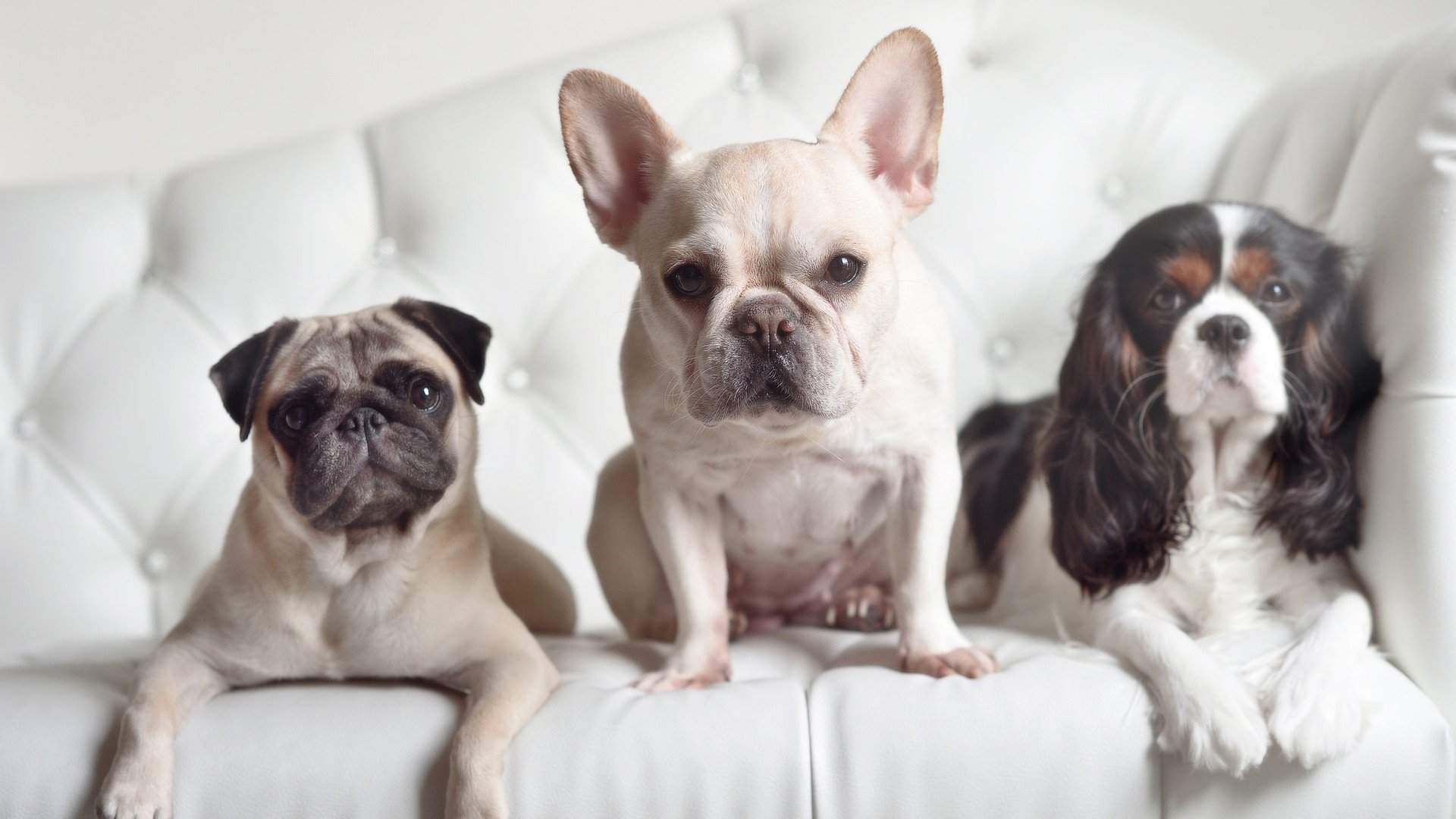 孤星照夜，凯塞多与他的绝对掌控时刻