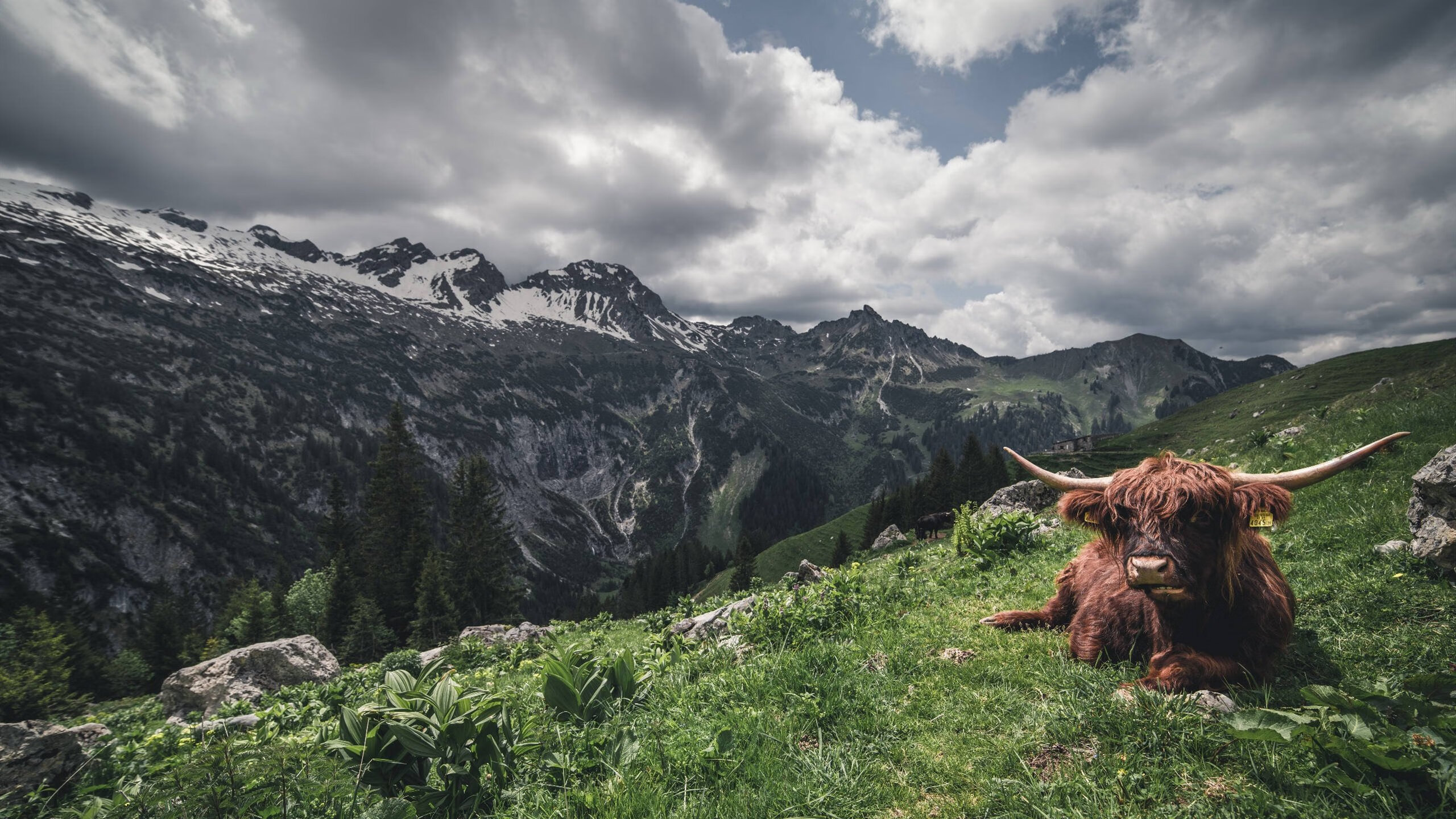 终局之光，阿森纳于抢七战场击破法老咒缚