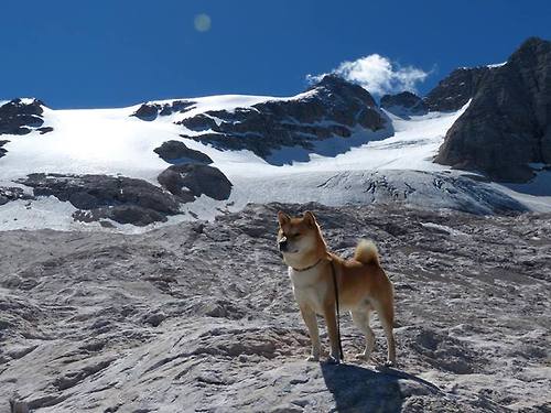 从叹息的阴影到呐喊的英雄，德里赫特是如何在一步之遥完成命运逆转的？