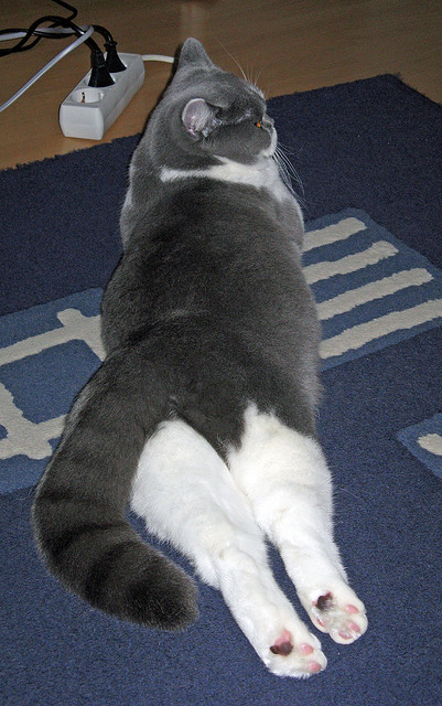 欧冠淘汰赛的开拓者精神,当坚韧撕裂不败金身