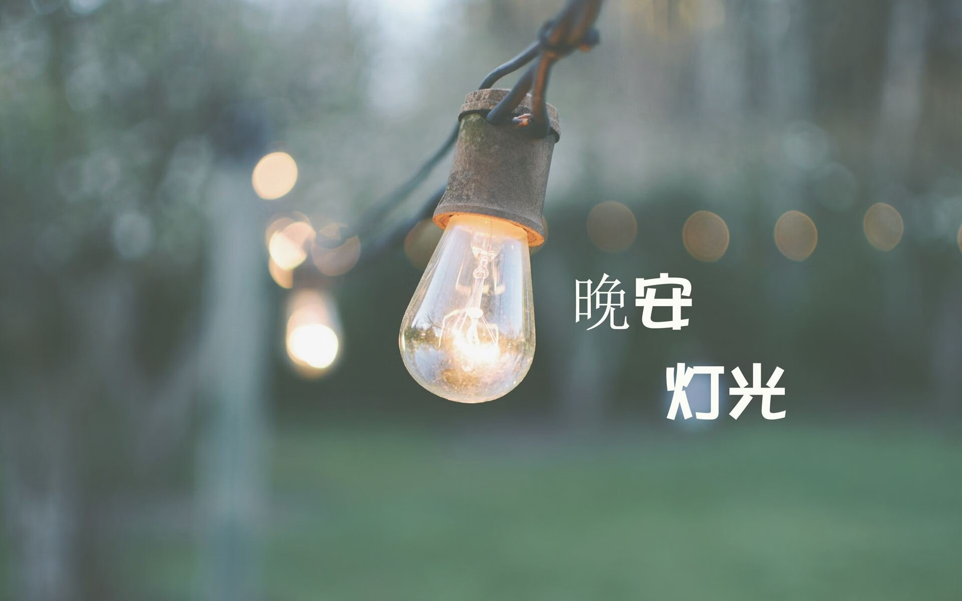 橙衣风暴，2026半决赛荷兰碾压瑞士，奥斯梅恩成唯一逆风亮点