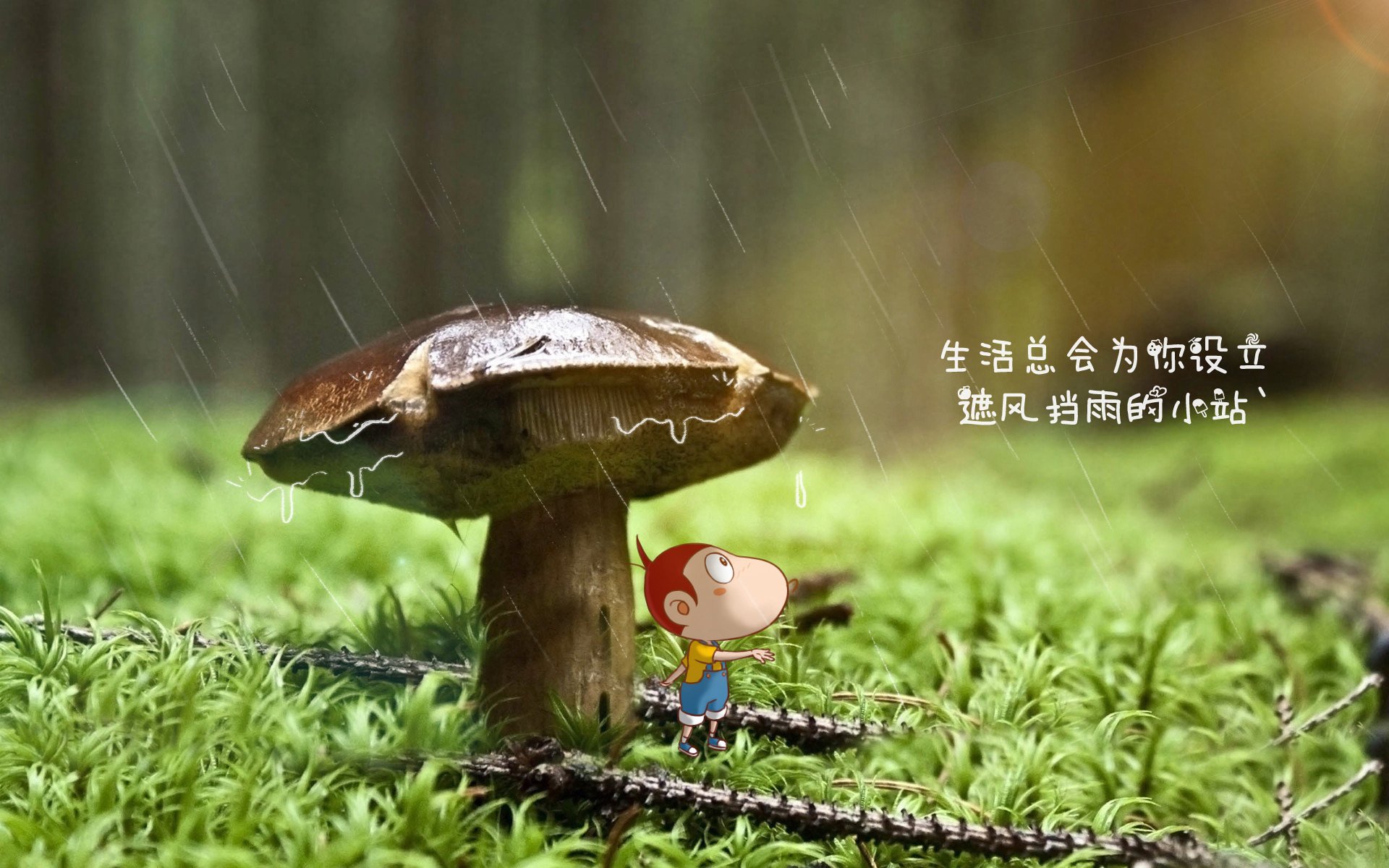 独步天下,2026世界杯巅峰对决,塞尔维亚碾压奥地利,罗德里戈一己之力封神
