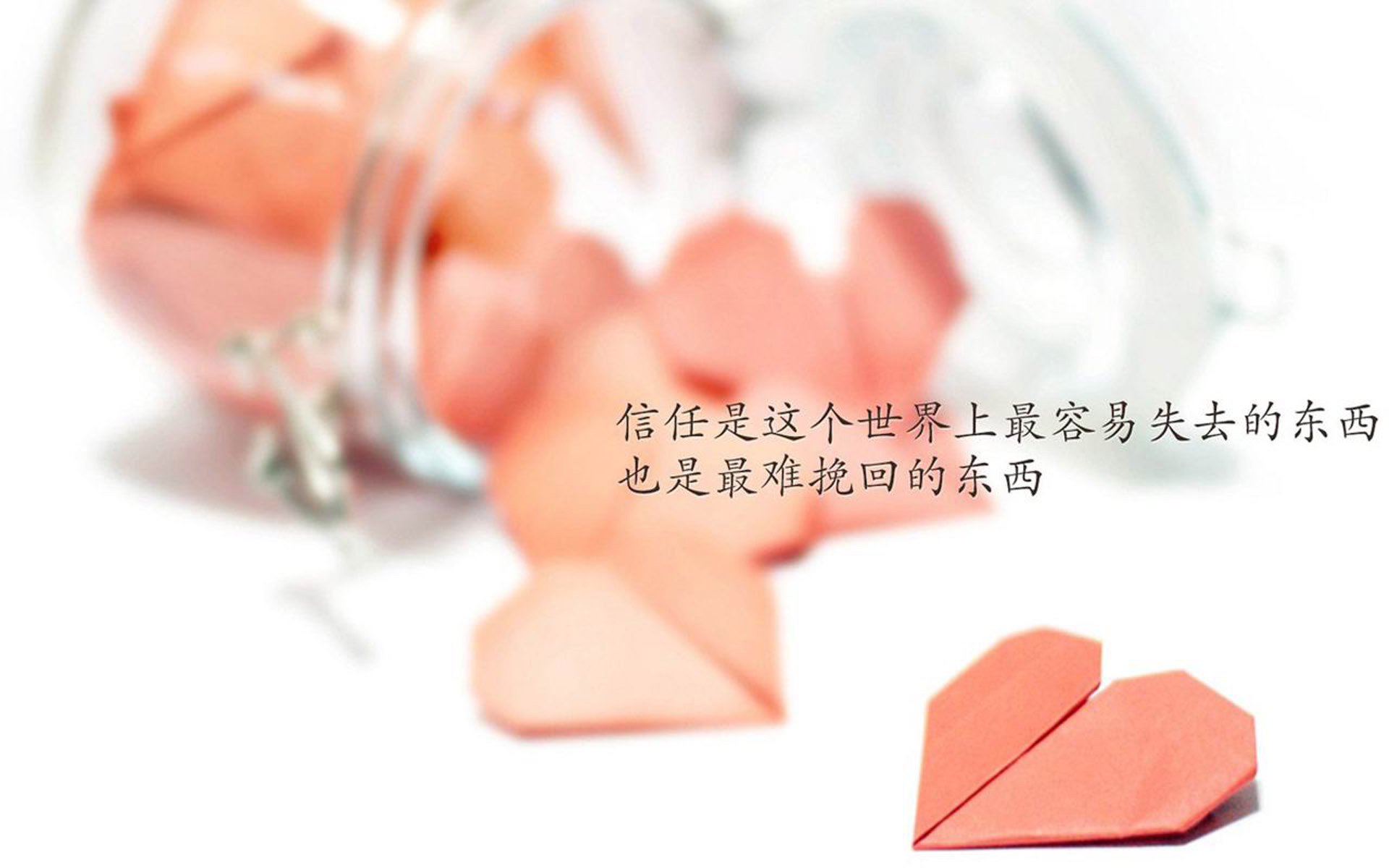 雷火电竞-沙漠之狐的逆袭，摩洛哥完胜喀麦隆，穆西亚拉率队点燃2026世界杯黑马之战